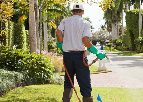 About Jordan MN Pest Control Pros